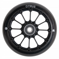 Колесо для самоката Tech Team Citru 110мм (Черный) Колесо для самоката Tech Team Citru 110мм (Черный)